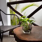 Hotel Amar Inn