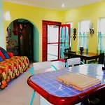 Casa Gatos