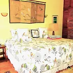 Casa Gatos