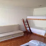 Safari Inn