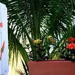 Hotel Gota De Sal