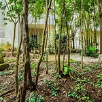 Condo Hotel El Vivero Tulum
