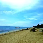 Tikun-Ha