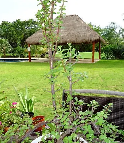 B&B Mom\'S House
