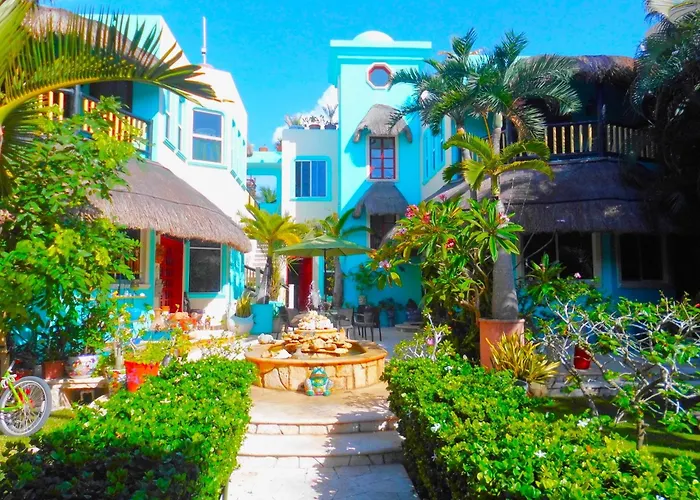 Casa Gatos