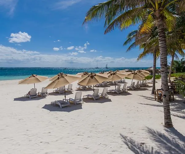 Arena Beach Oceanfront