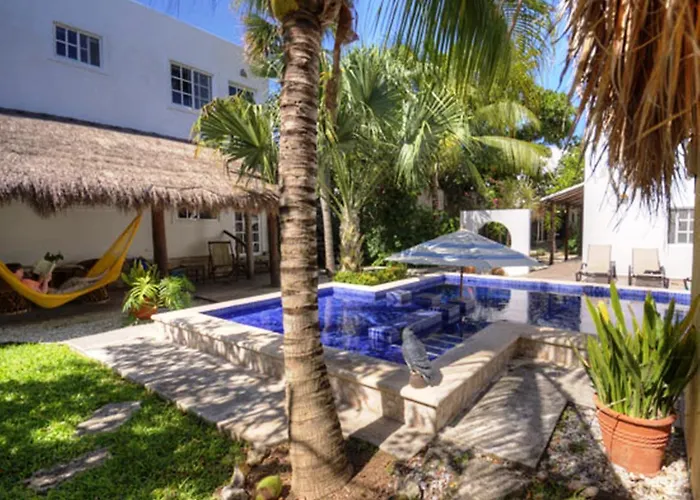 Villa Escondida B&B Cozumel Downtown