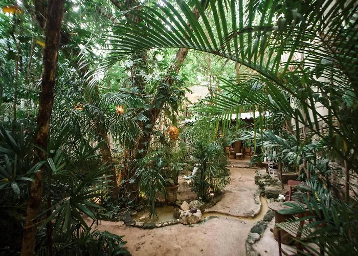 Hotel La Semilla