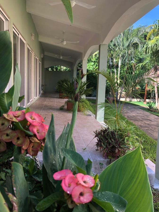 Beach House Luxury Vacation - Paradise 2 Prívate Master Suites Ocean&garden View Bed and breakfast