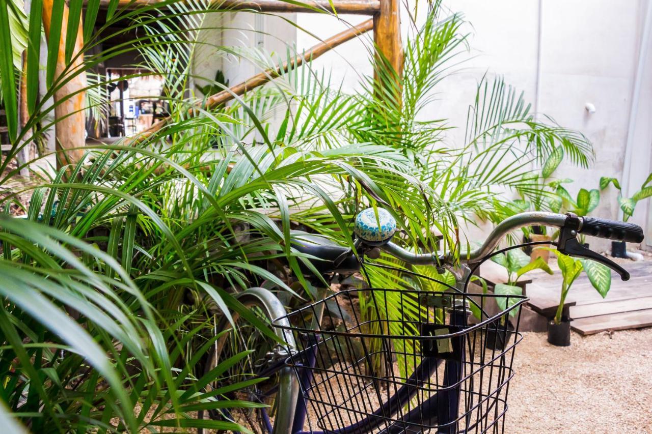 Acomodação com café da manhã  Oostel Smart - Playa 2*