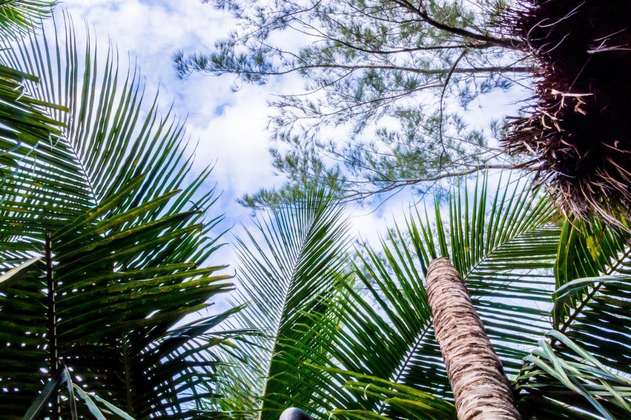 Acomodação com café da manhã  Oostel Smart - Playa Tulum