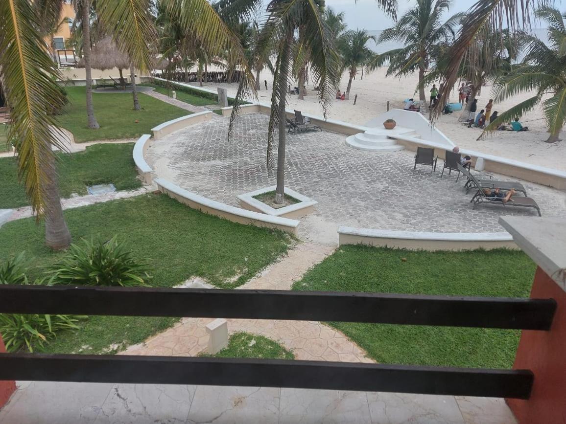 Moonlight Puerto Morelos