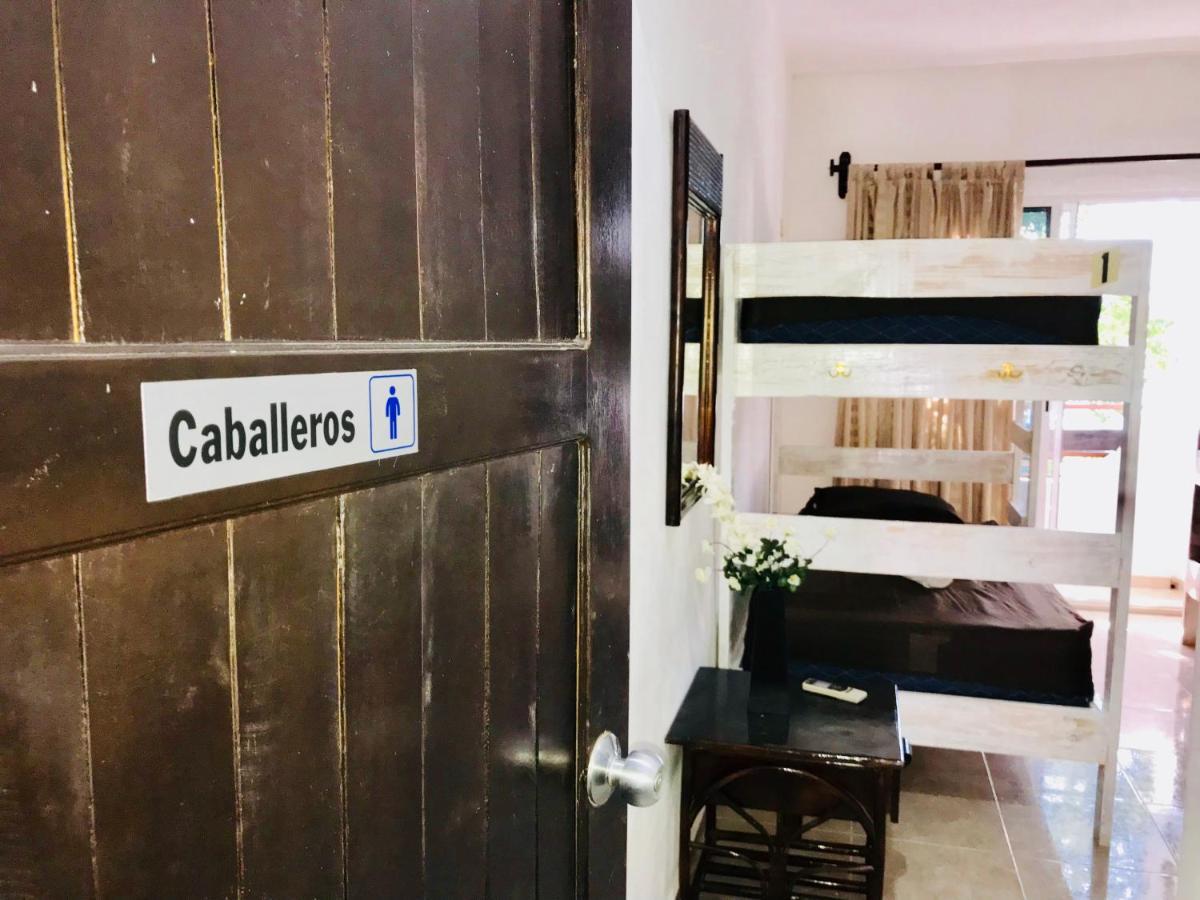 Casa de hóspedes Bunk Bed In Female *