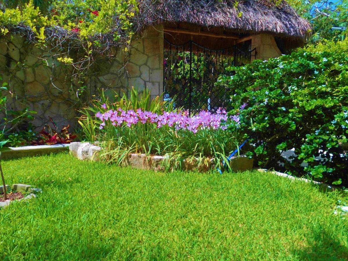 Casa Gatos