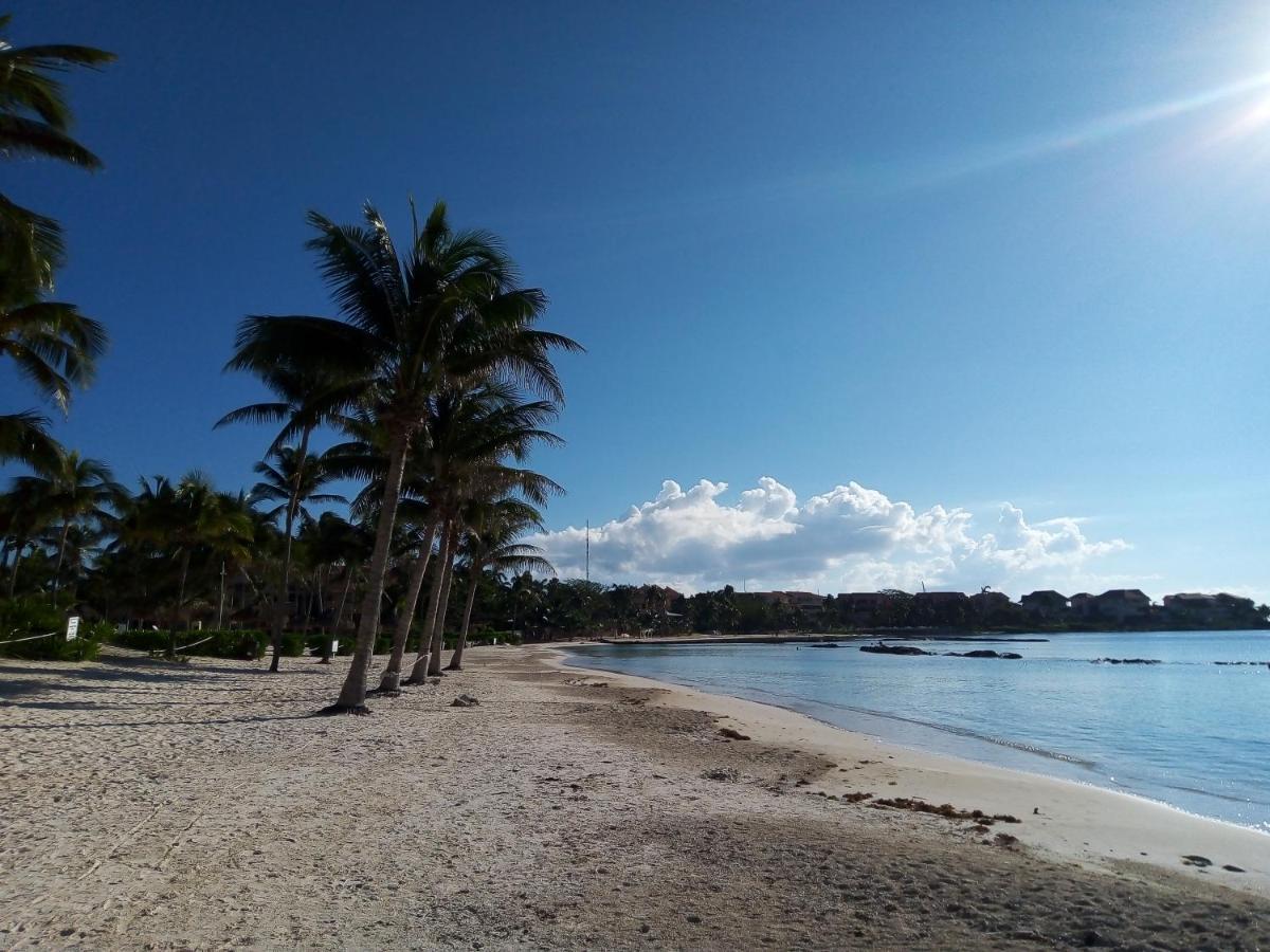 Picalu & * Puerto Aventuras