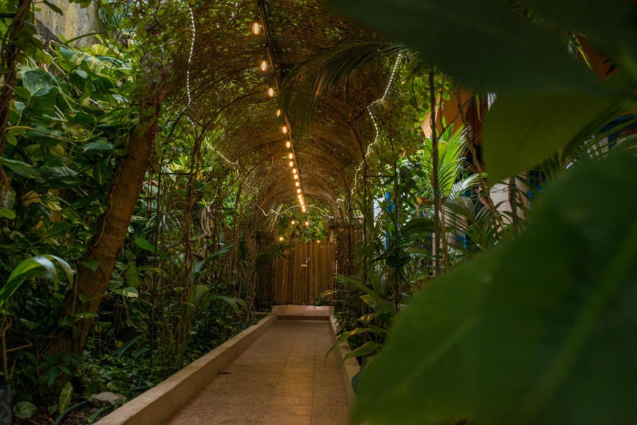 Bed and breakfast Hacienda Boutique B&b&spa Solo Adultos Cozumel