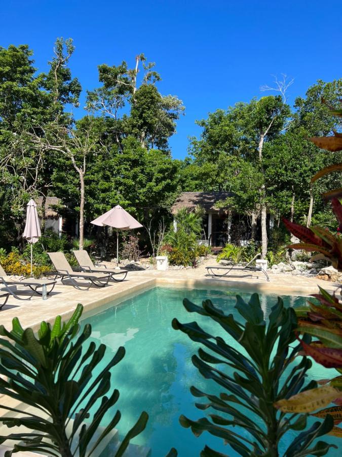Hotel Maya Eco Village 2*