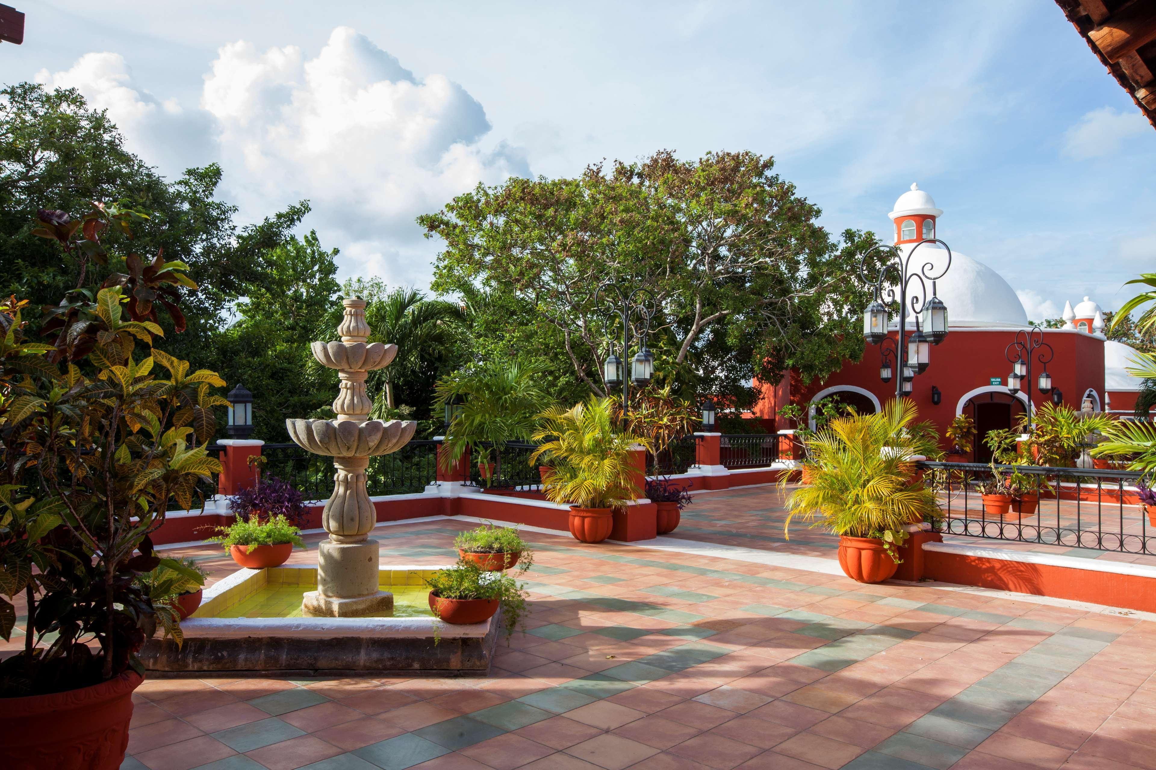 Occidental