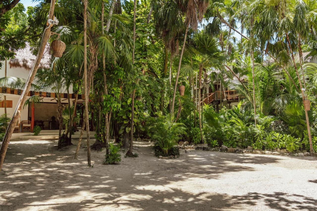Dos Ceibas Tulum - Massage & Yoga Inclusive Tulum