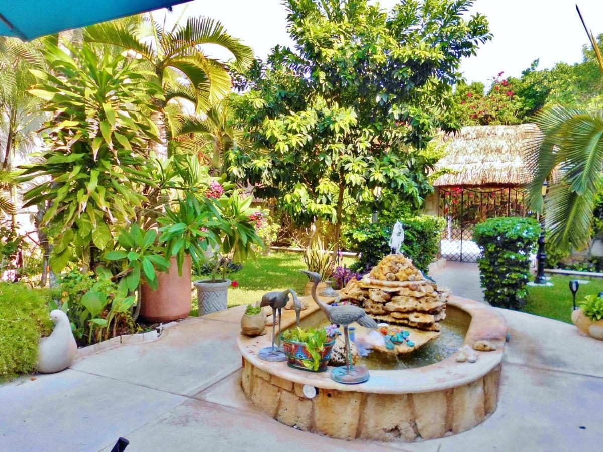 Casa Gatos Aparthotel Akumal