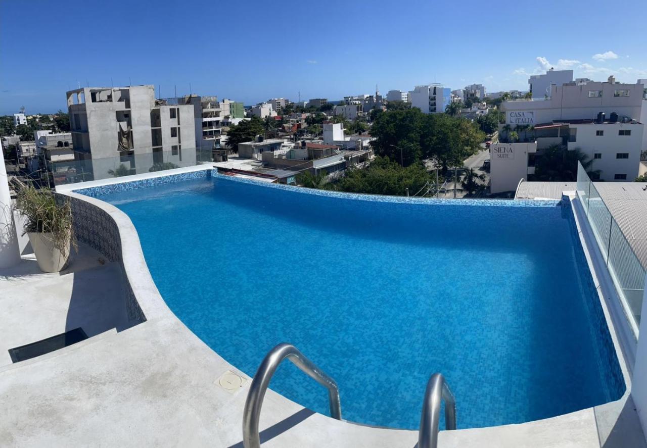 Pavo Real -
