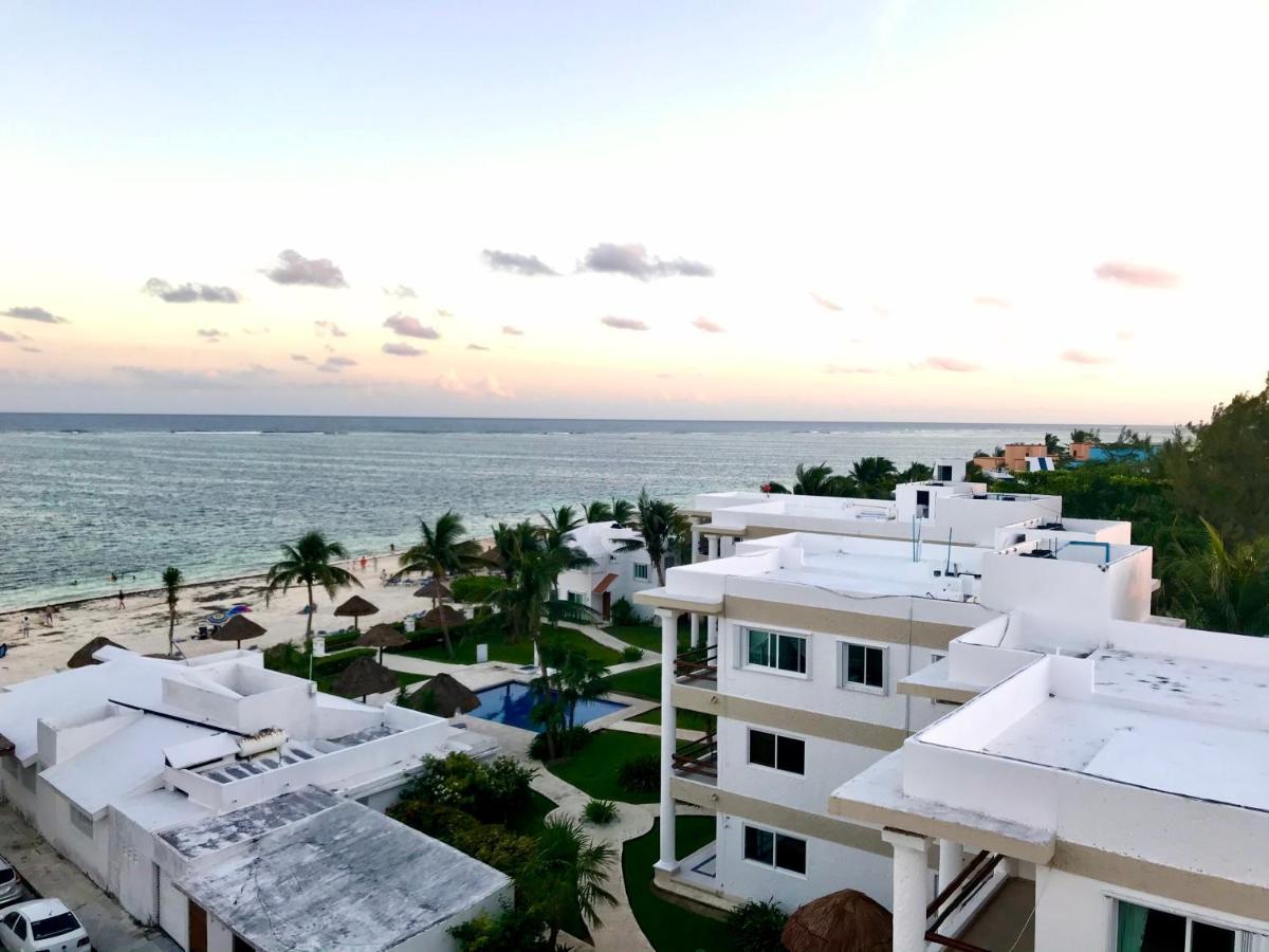 Moonlight Puerto Morelos