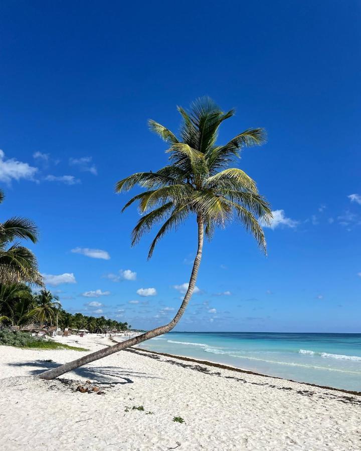 Chavez Eco And Acampamento Tulum
