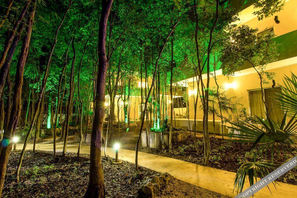 El Vivero Tulum
