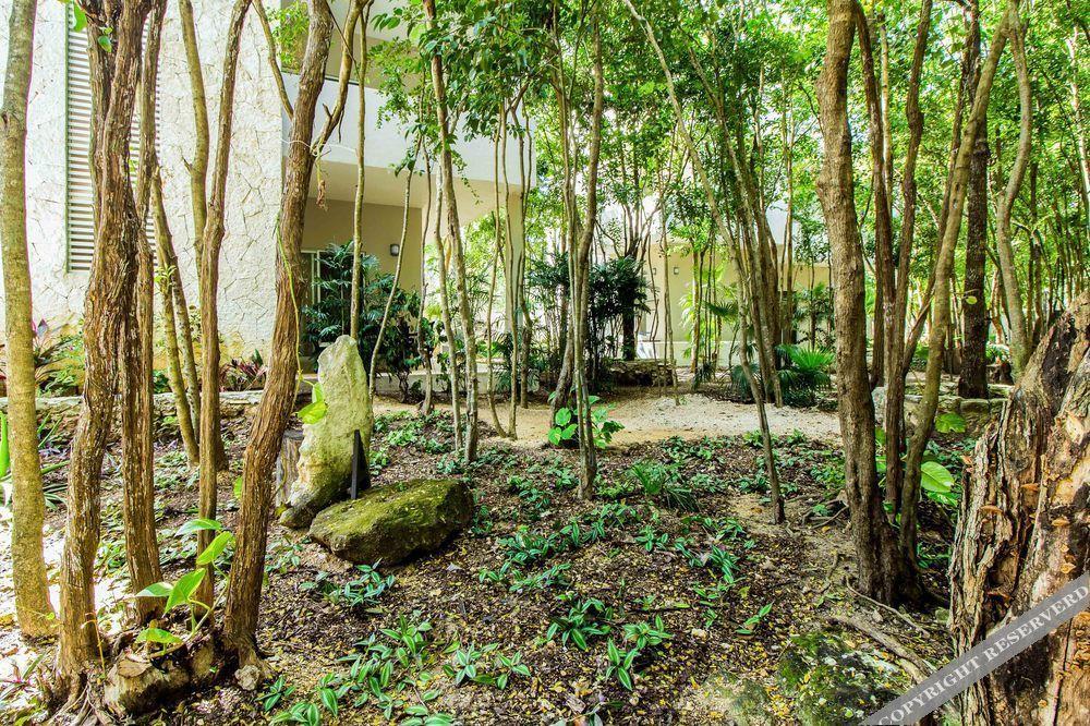El Vivero Tulum