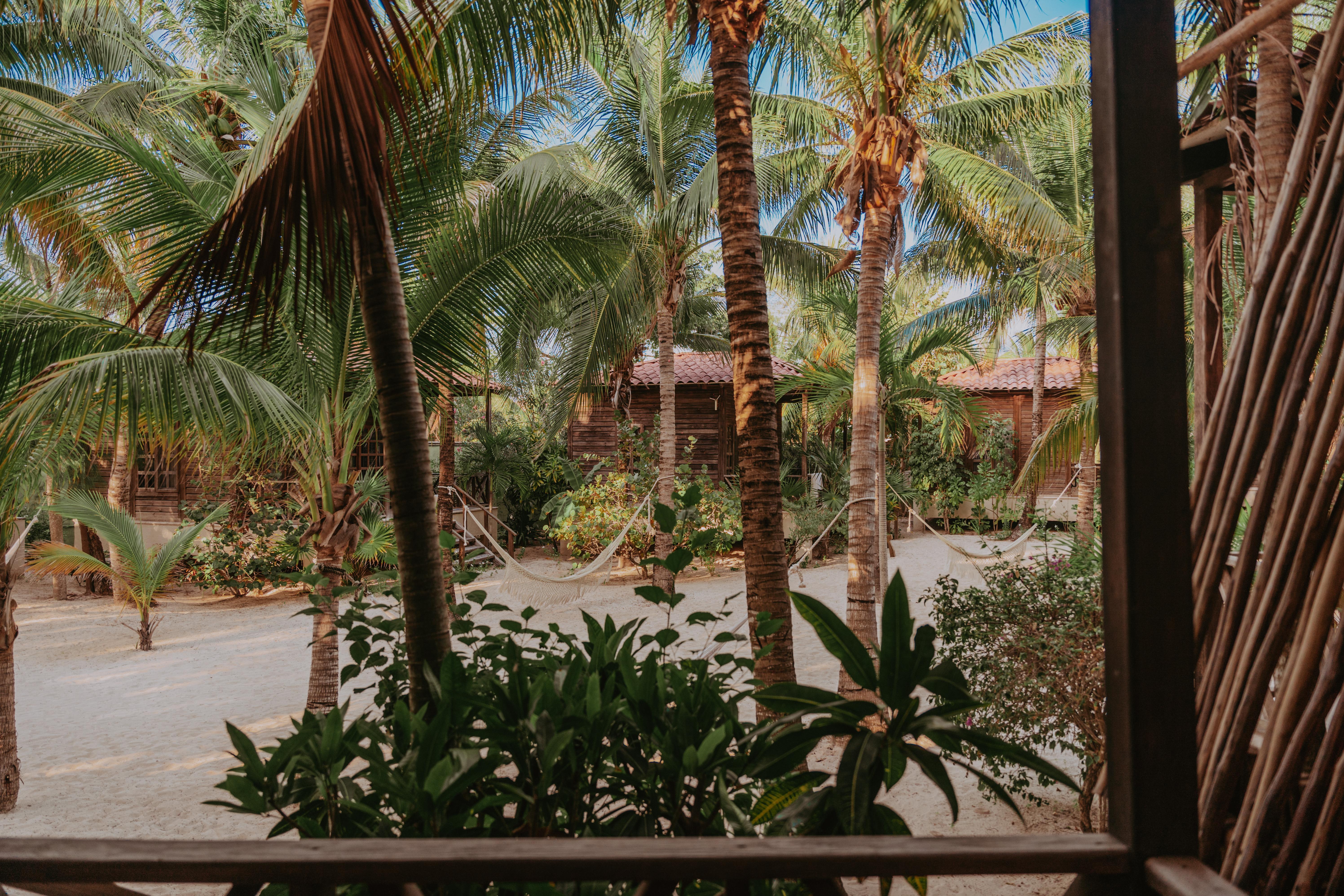 Hotel Petit Lafitte Front &