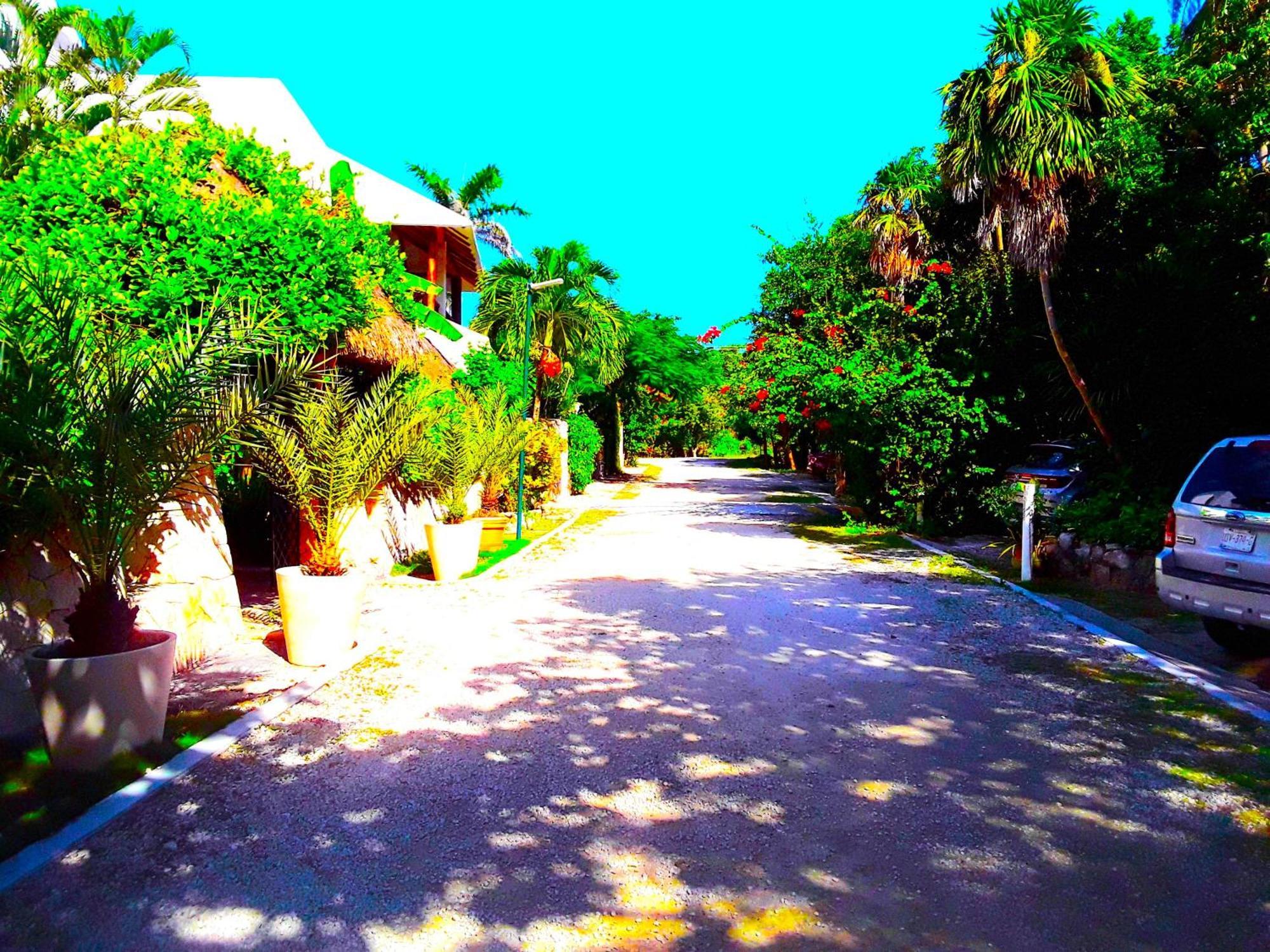 Casa Gatos Aparthotel Akumal