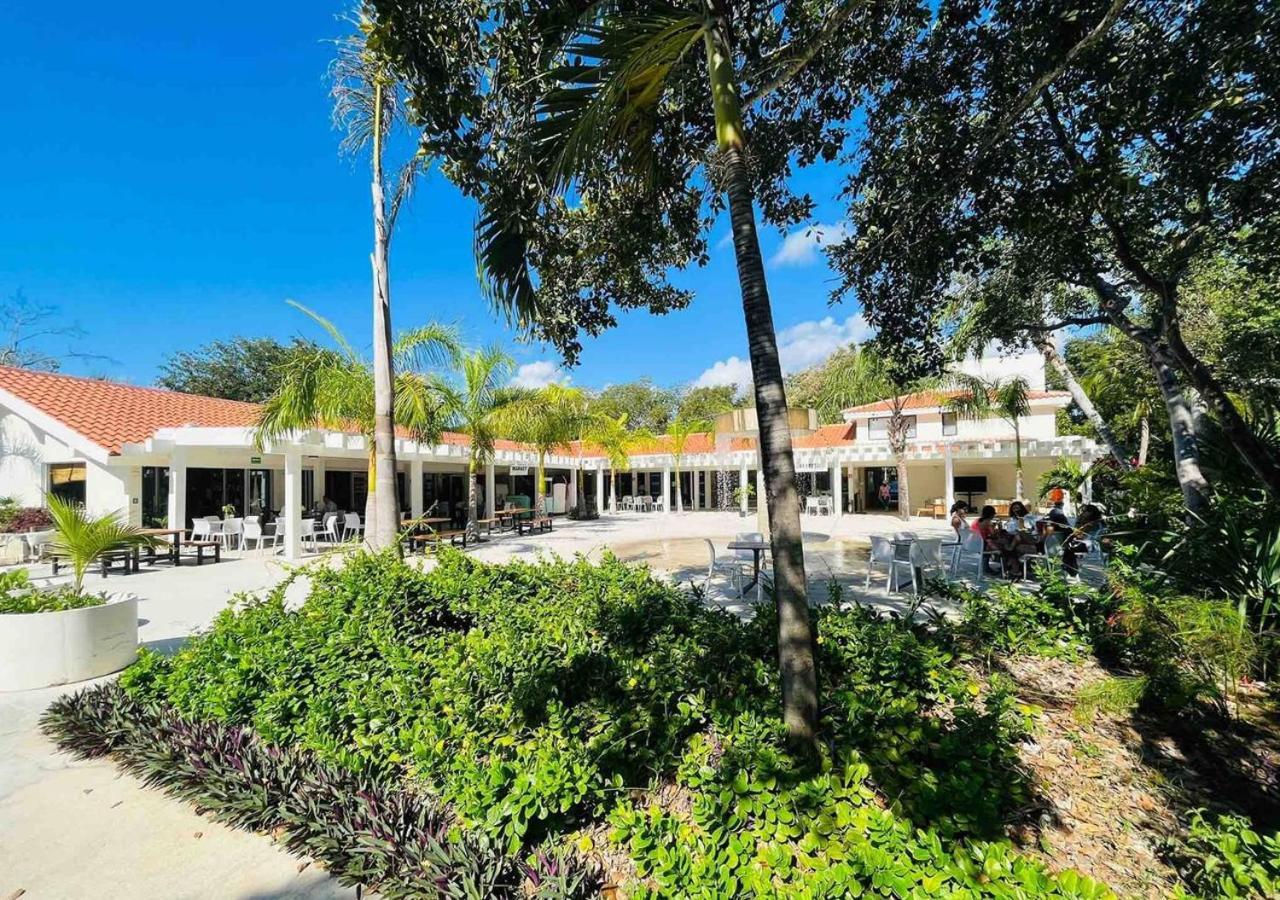 Apartment Beachfront Breathtaking Views Puerto Aventuras
