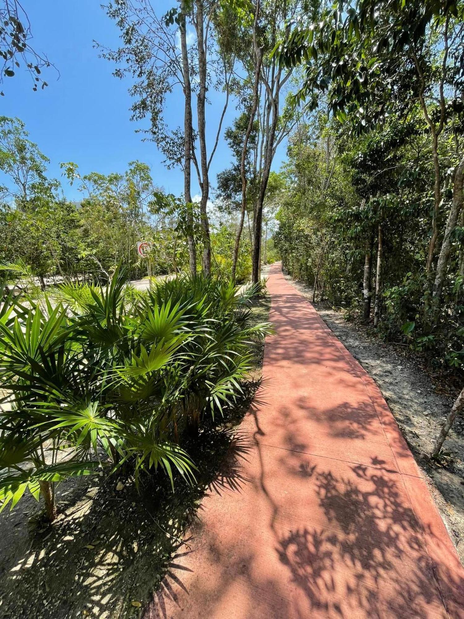 Fully Loaded 2 Bedroom In Jardines Mayakoba