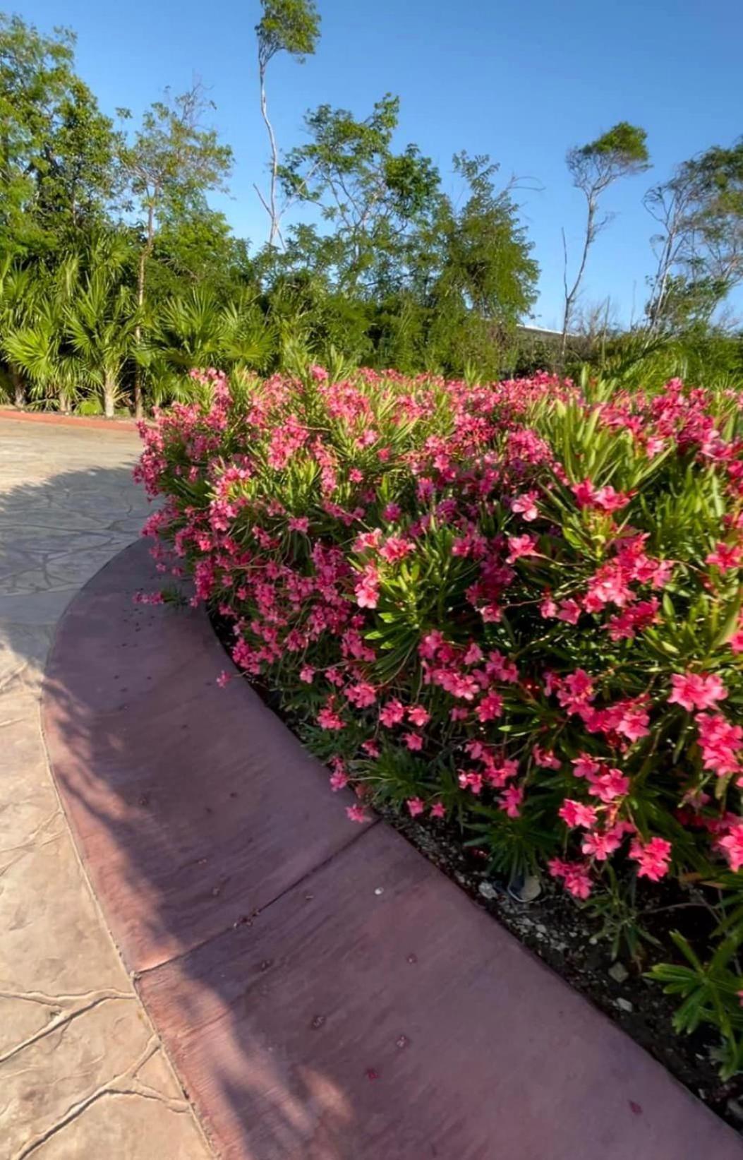 Fully Loaded 2 Bedroom In Jardines Mayakoba * Playa del Carmen