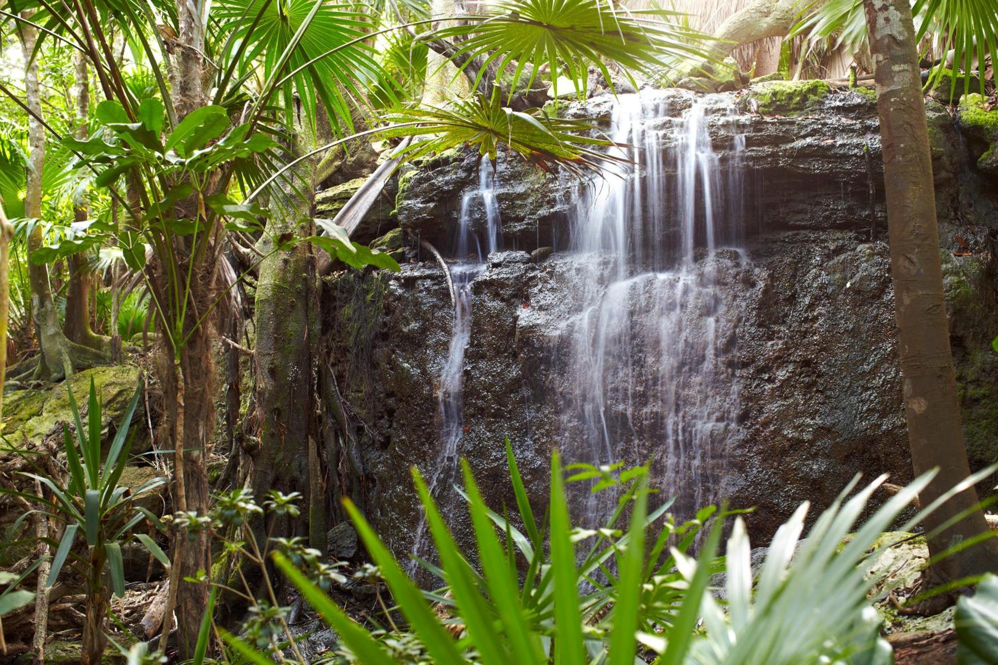 Viceroy Riviera Maya, A Luxury - Adults Only 5*