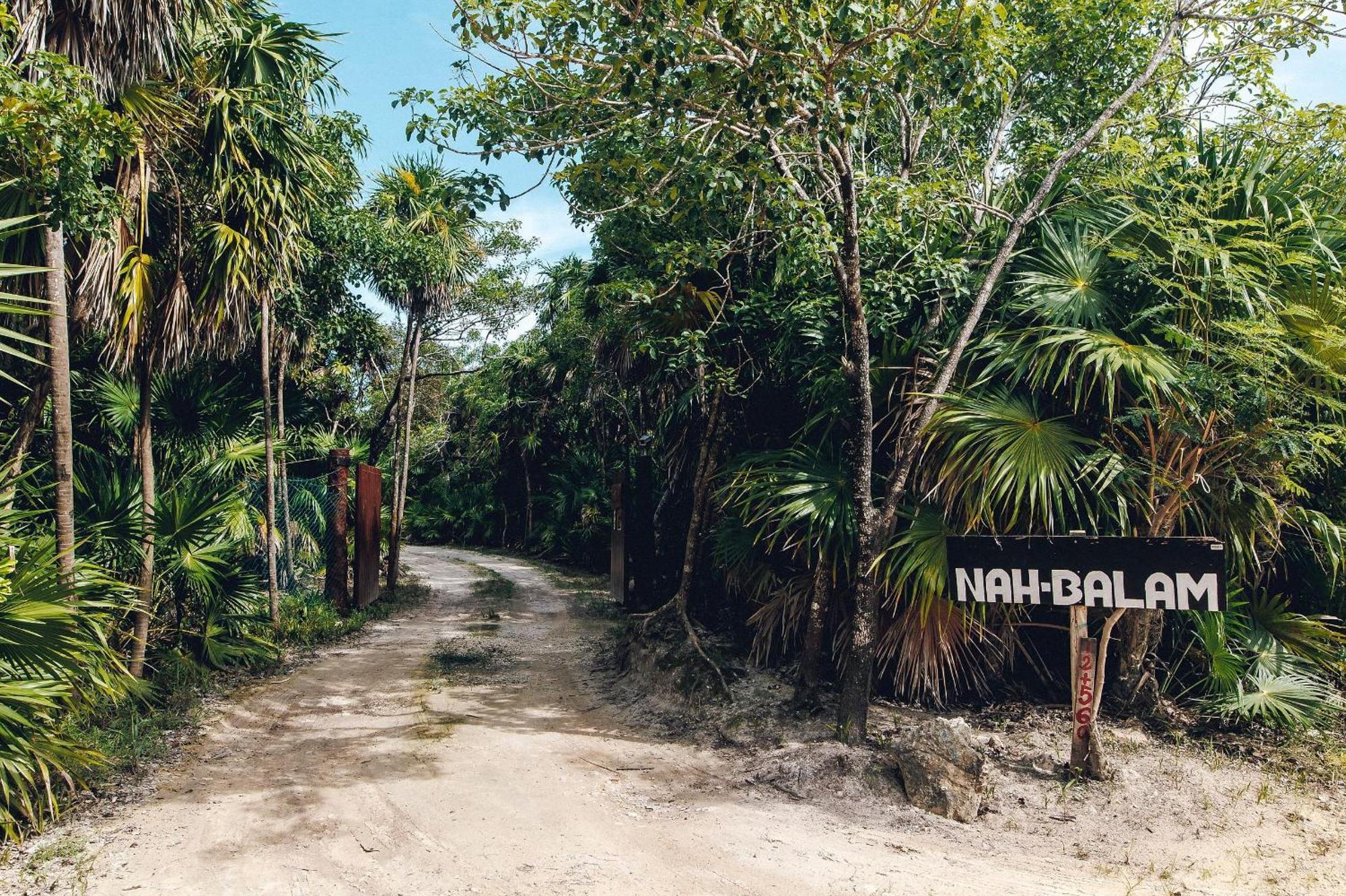 Amazing Eco Palapa At Private In Sian Kaan. Tulum