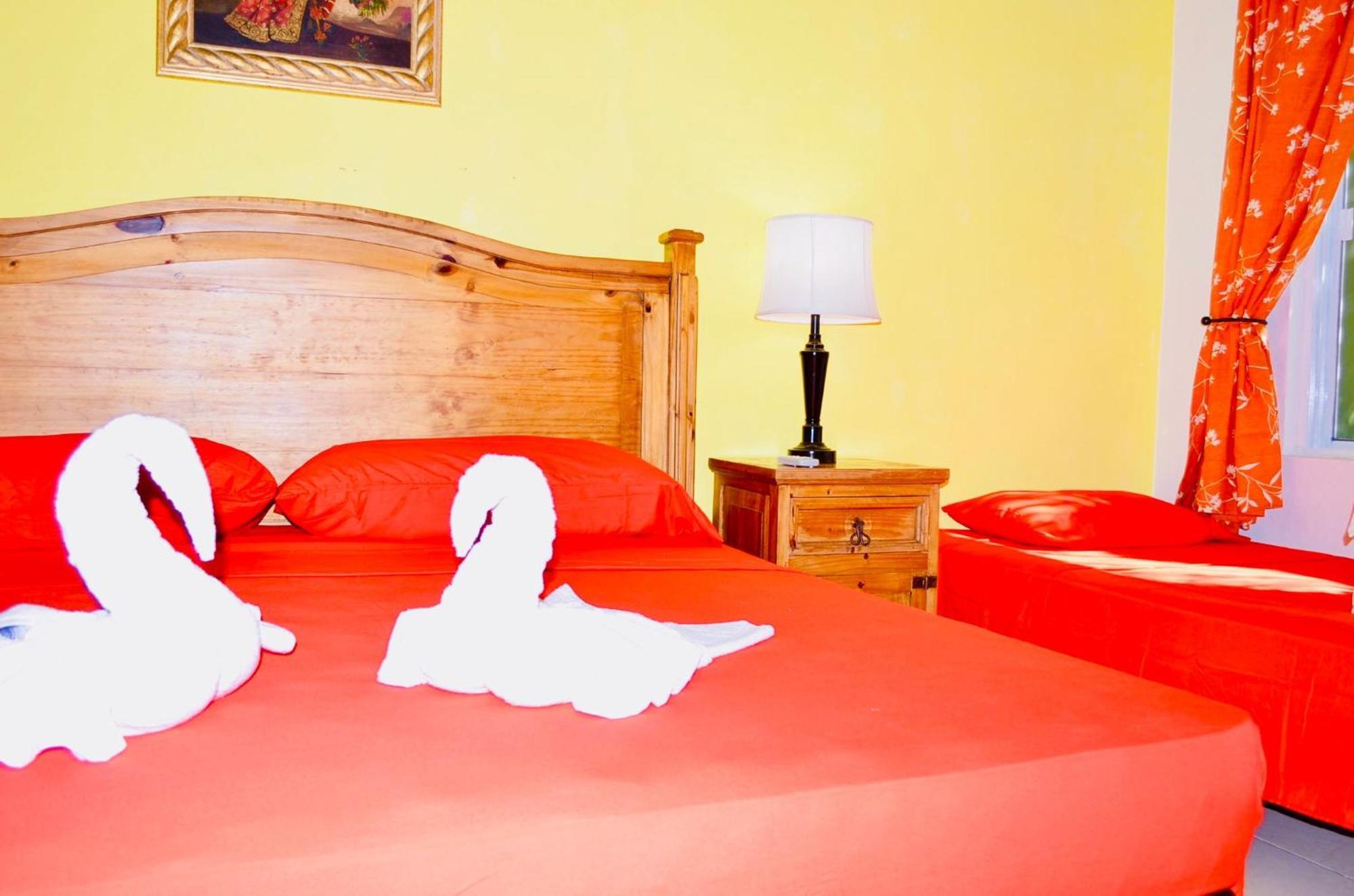 Executive Comfort With Swimming Pool Air Conditioning And Parking Guest house *