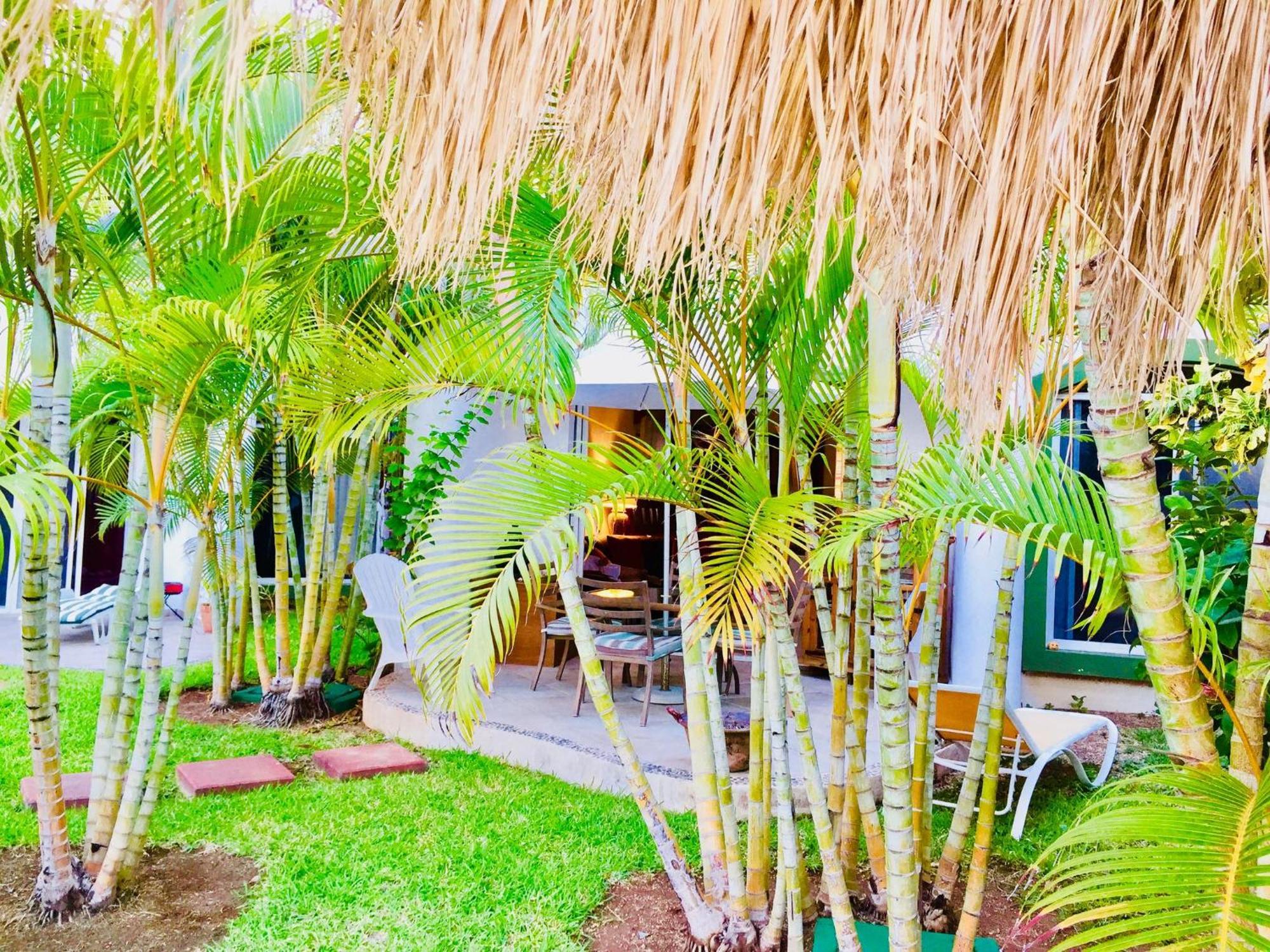 Superior E8 Dolce Caribe Pensión Playa del Carmen