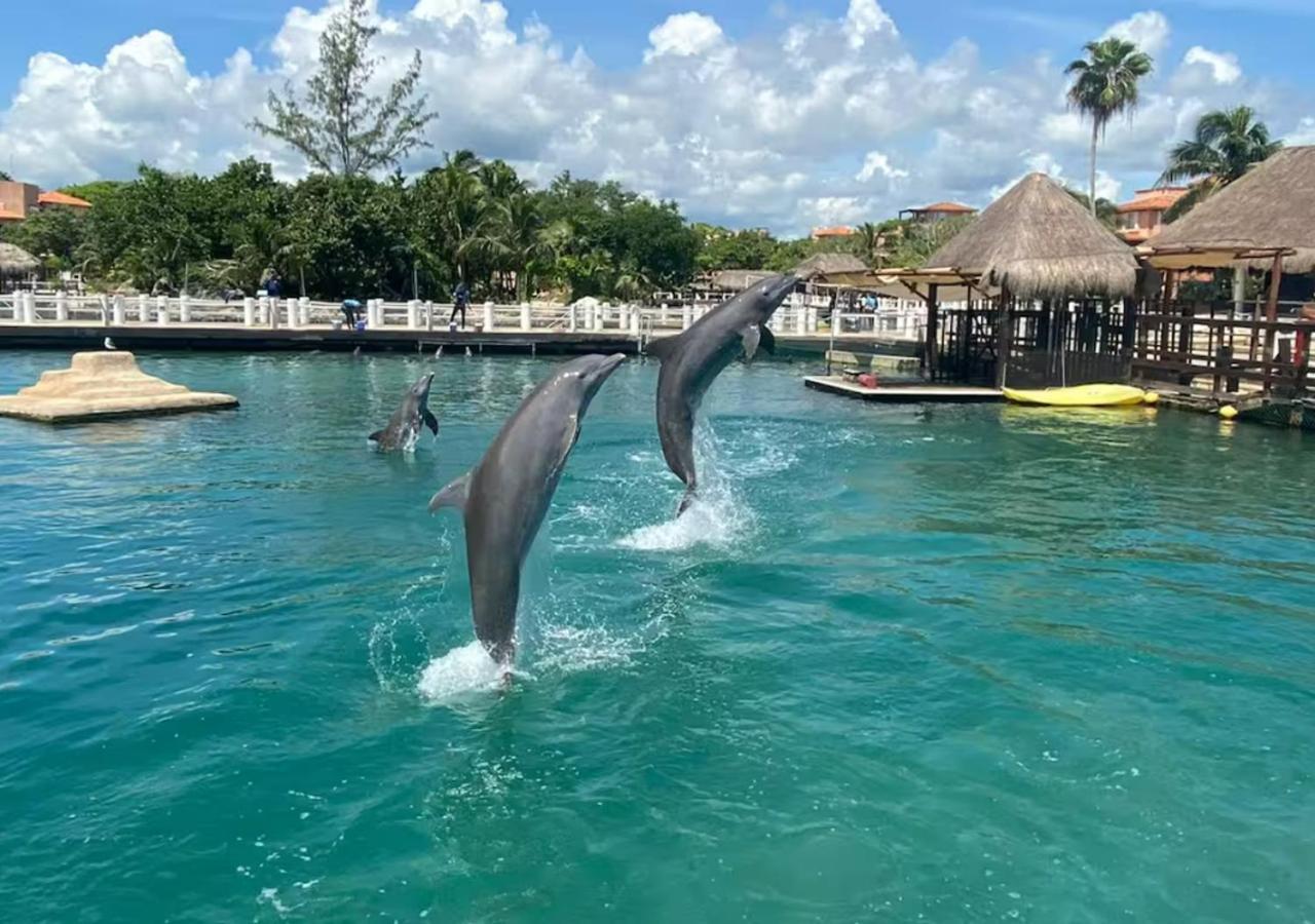 Boho Breeze Escape, Locationtop,bohemian,dolphinariumview,fastwifi Apartment Puerto Aventuras