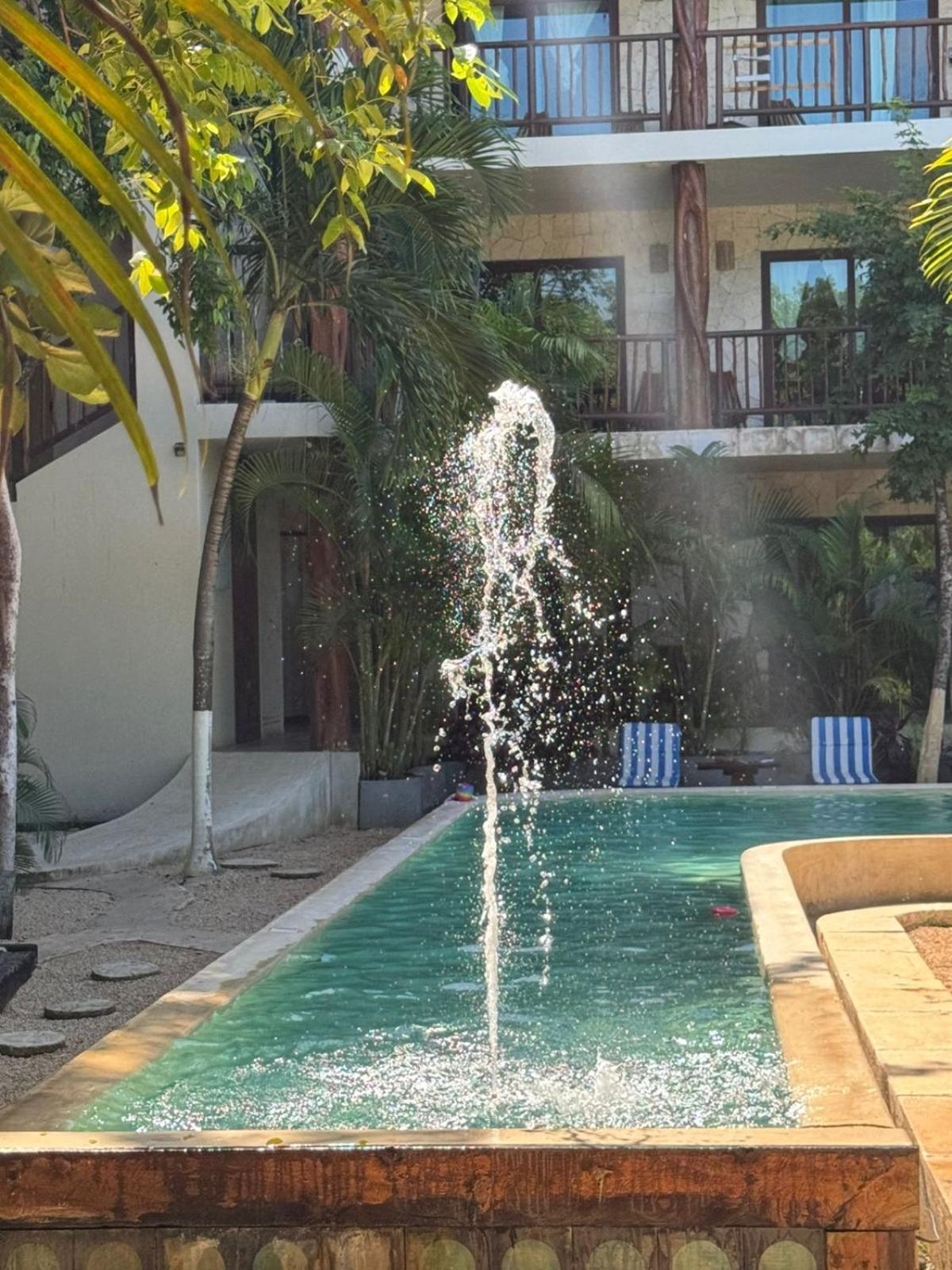 Aparthotel Casa 3*