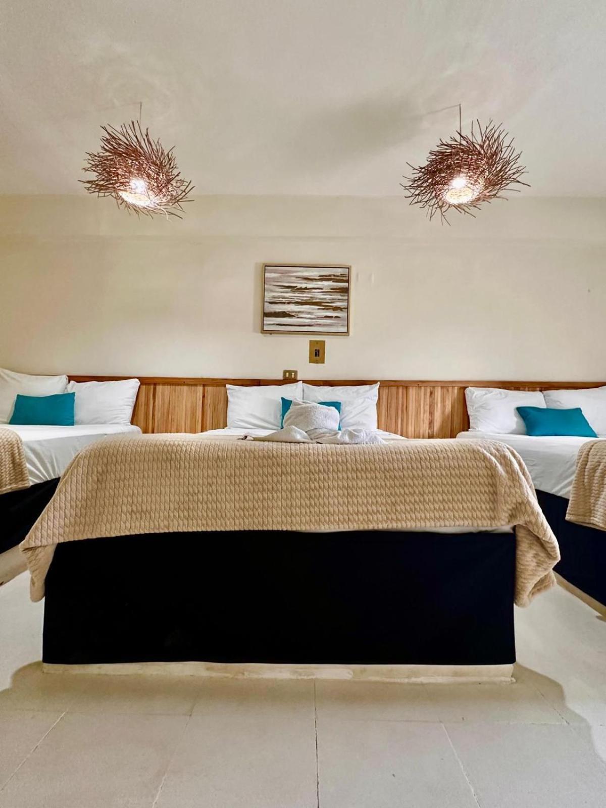 Hotel Cacao *