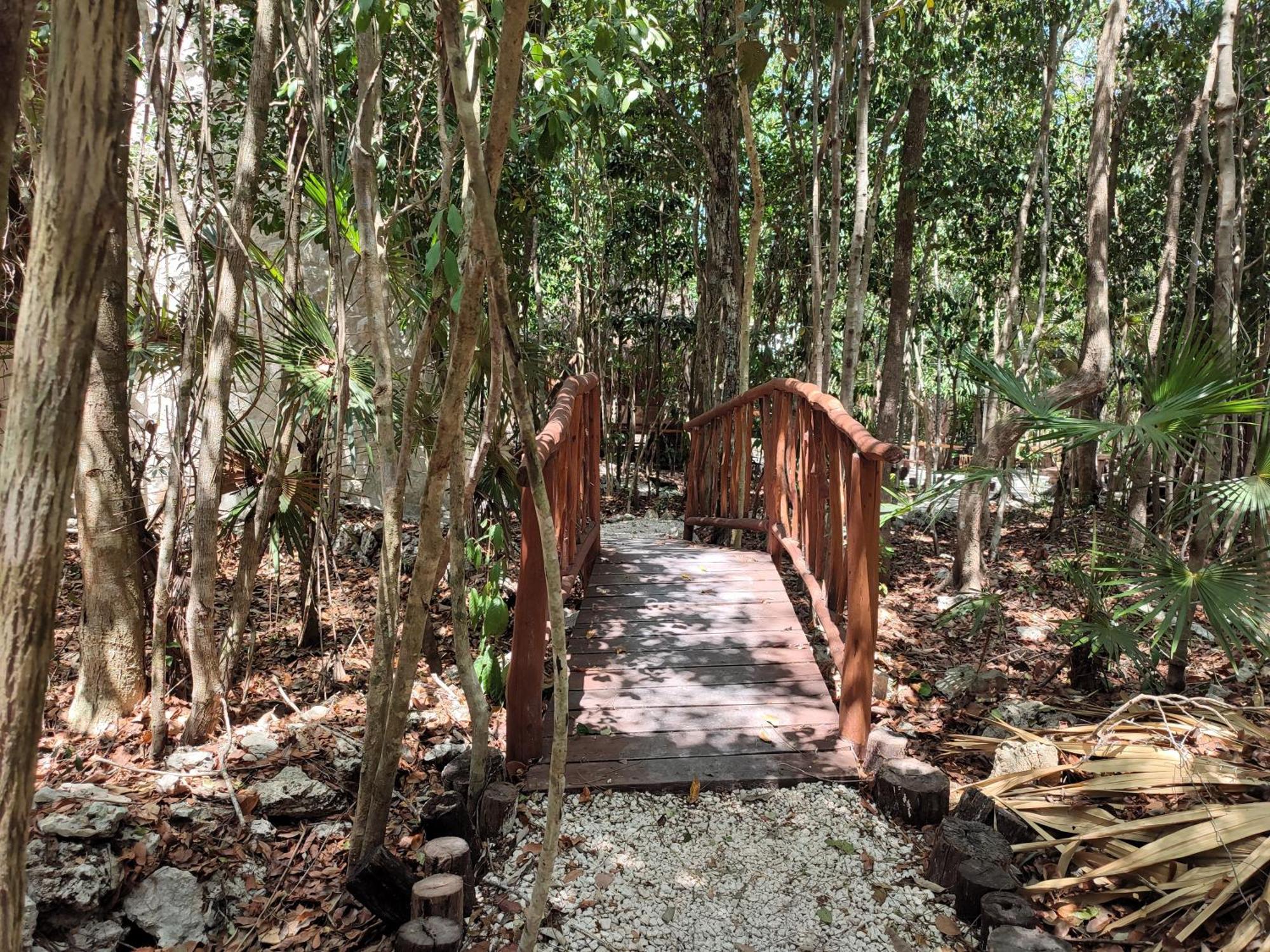 Acampamento Aldea Maya-ha Con Cenotes