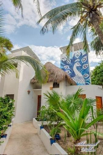 Beachfront Hammock Heaven Apartamento Akumal