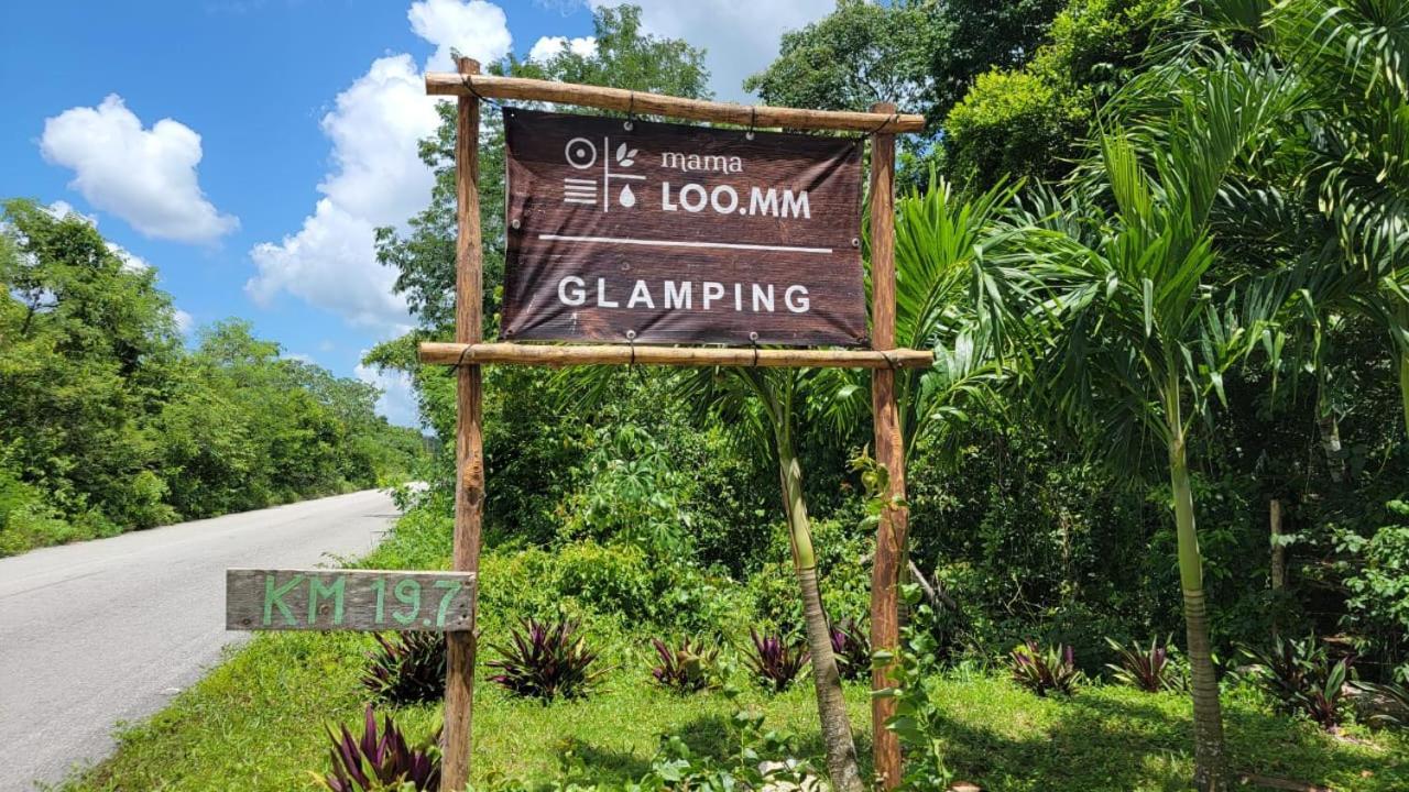 Glamping Mama Loo Mm Tenda de luxo