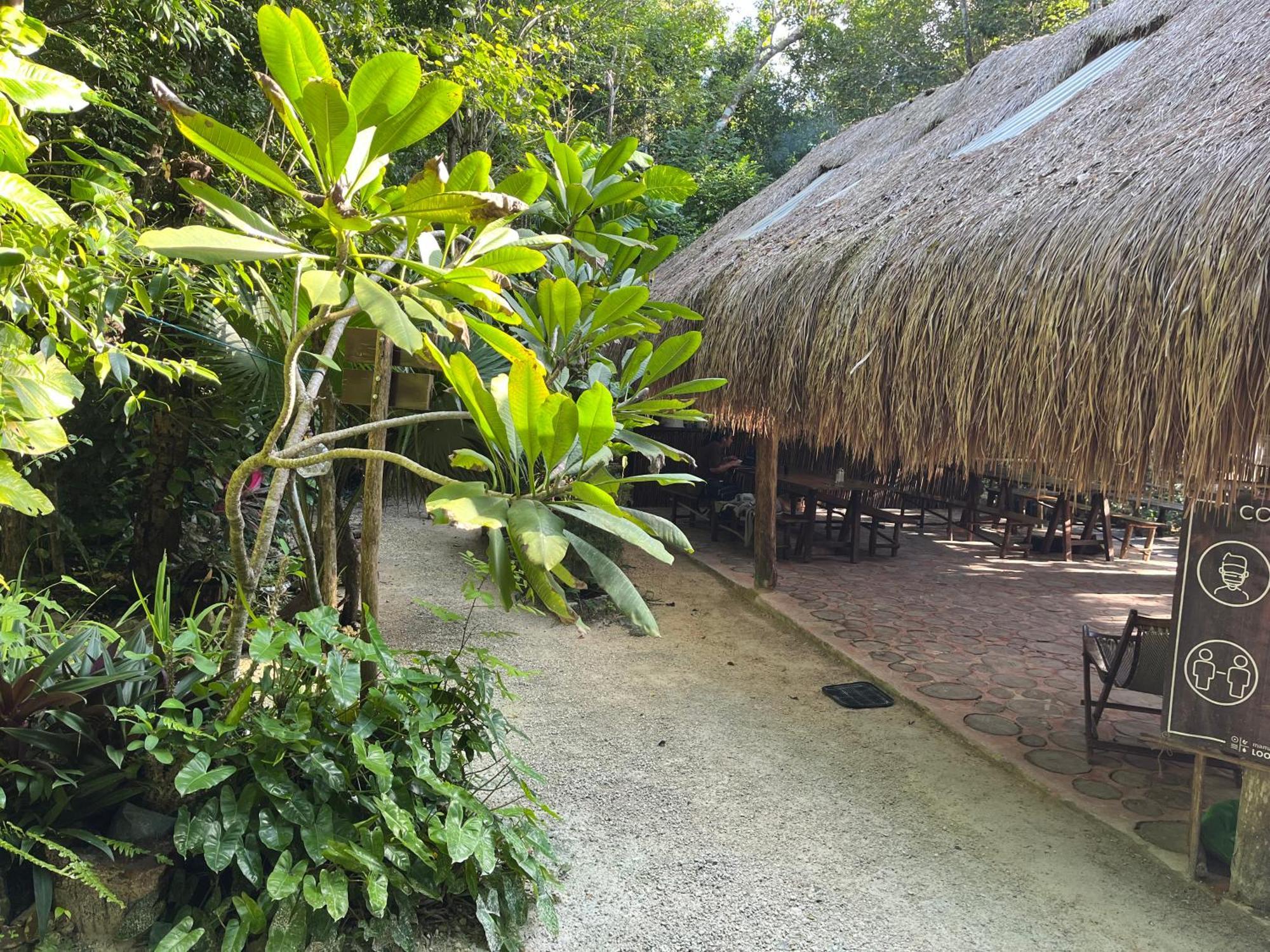 Glamping Mama Loo Mm 3* Puerto Morelos