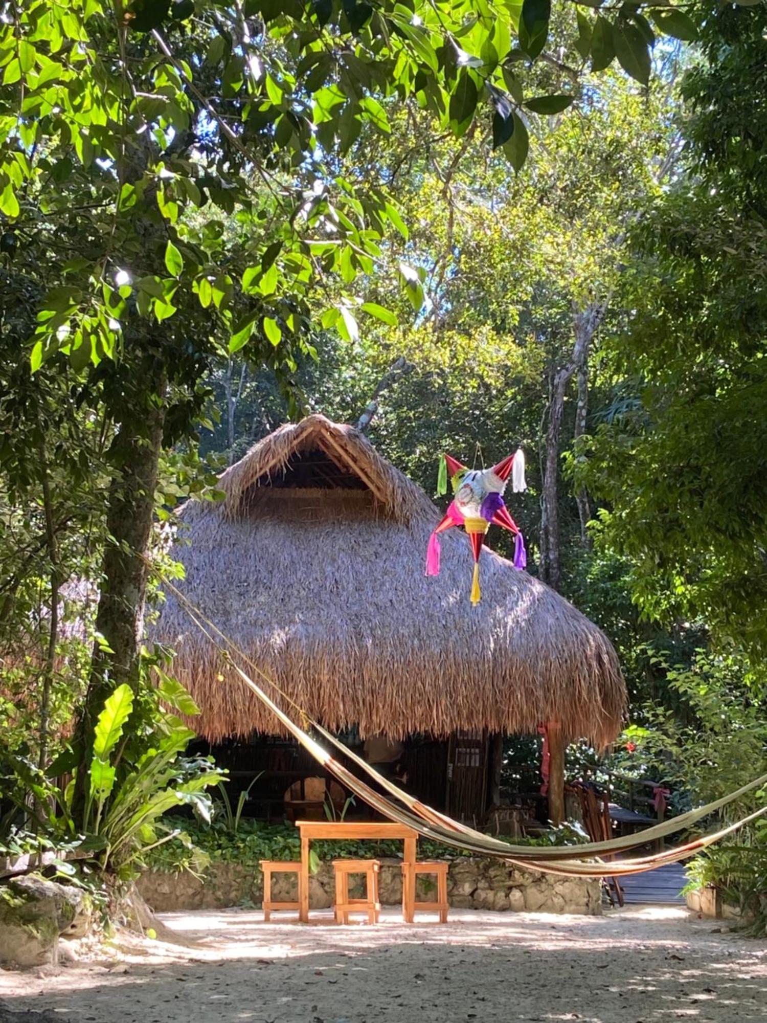 Tenda de luxo Glamping Mama Loo Mm