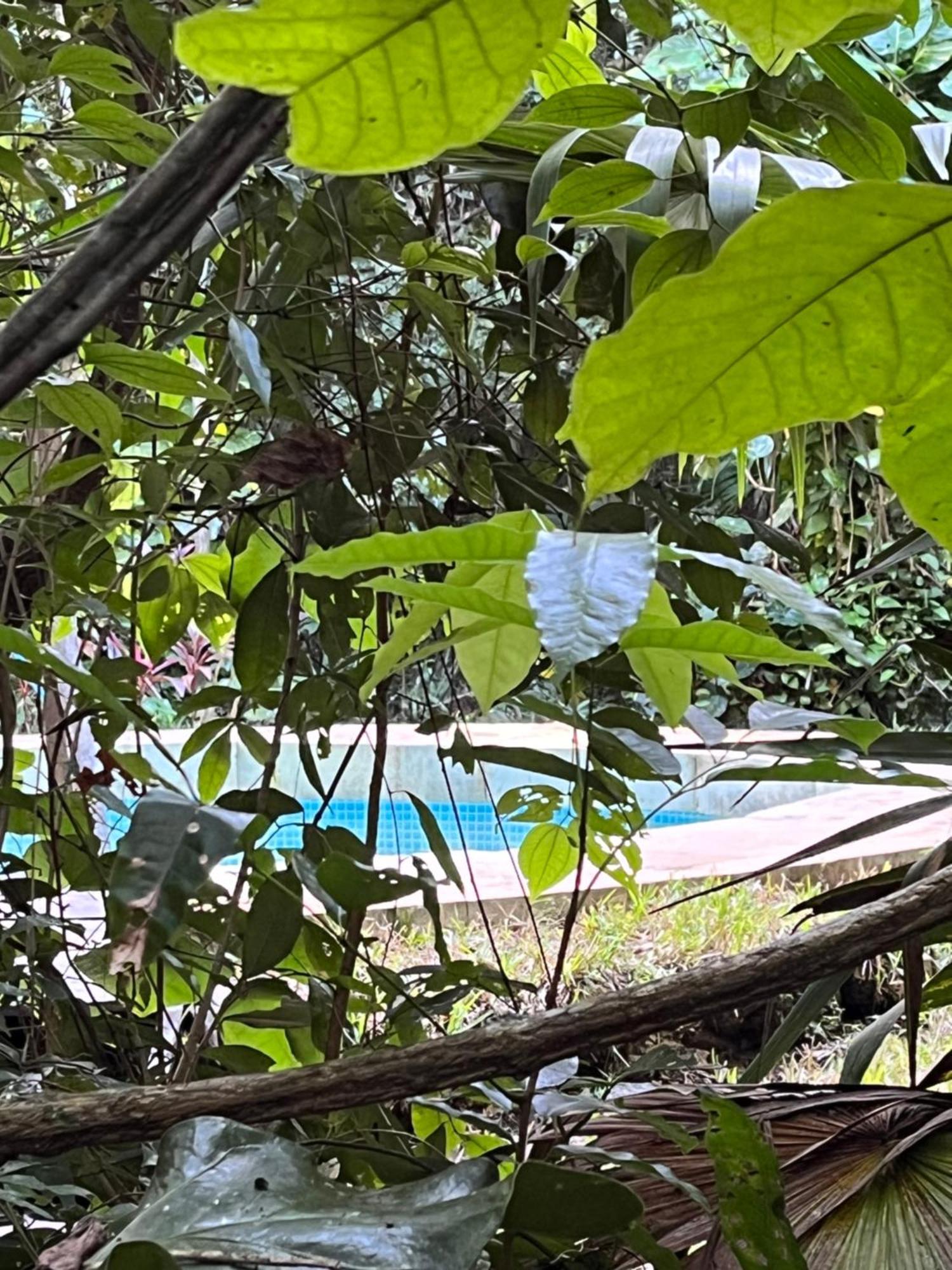 Glamping Mama Loo Mm Puerto Morelos