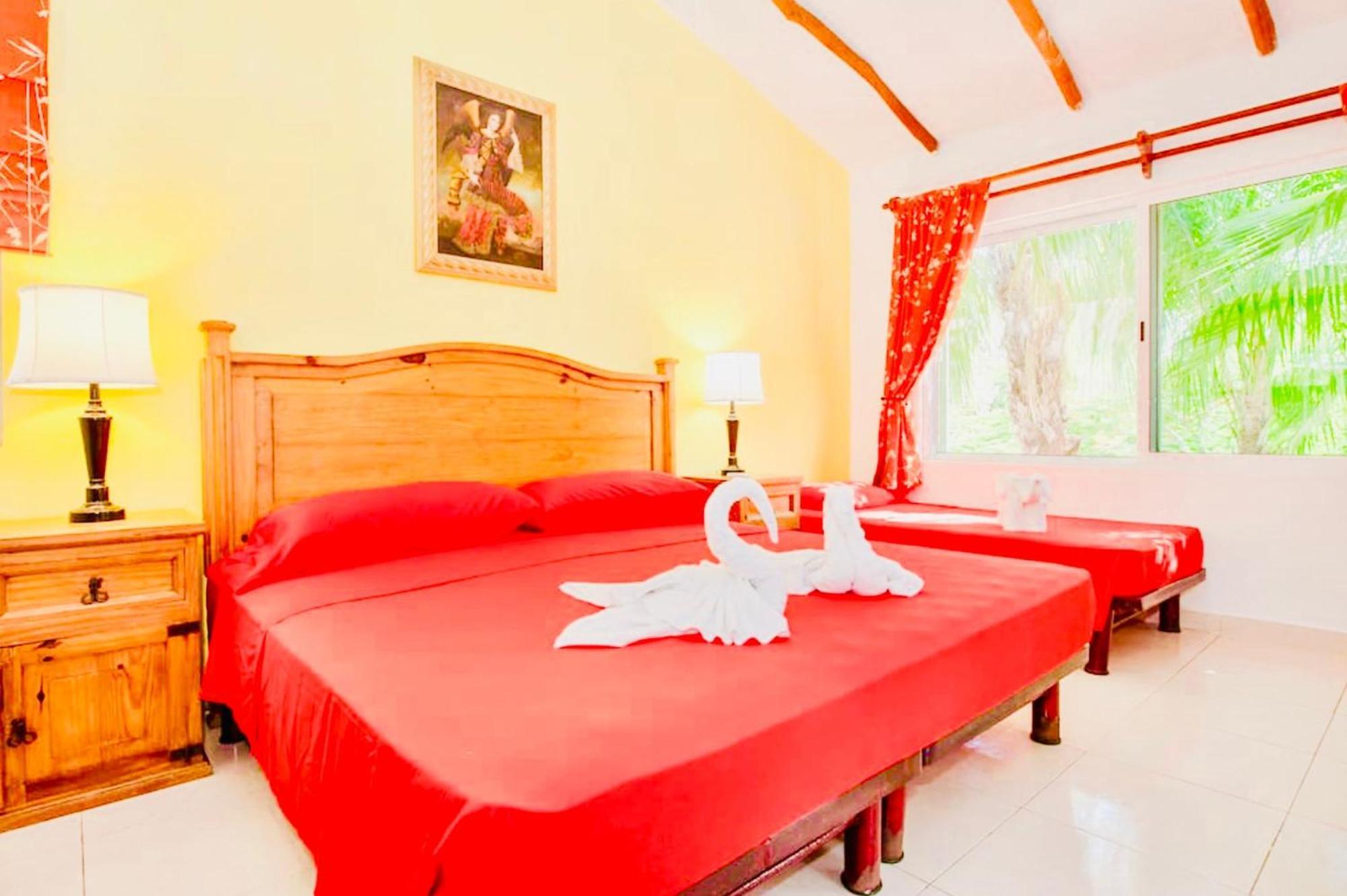 Executive Comfort With Swimming Pool Air Conditioning And Parking Guest house *