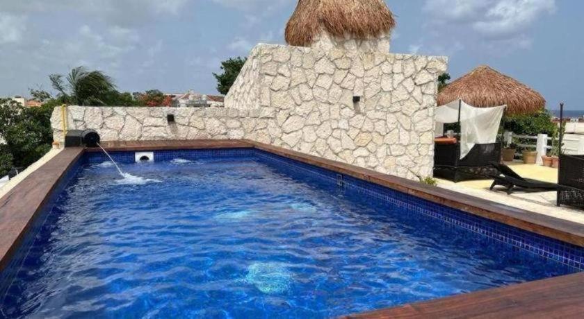 Flamingo Cozumel