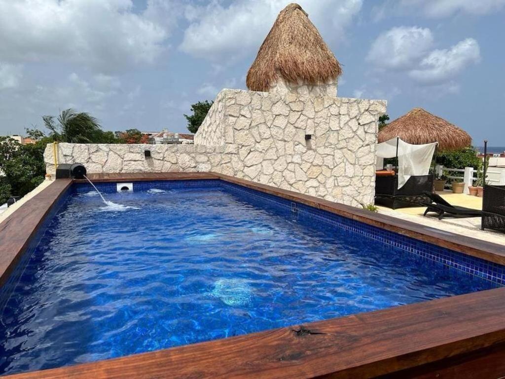 Flamingo Cozumel